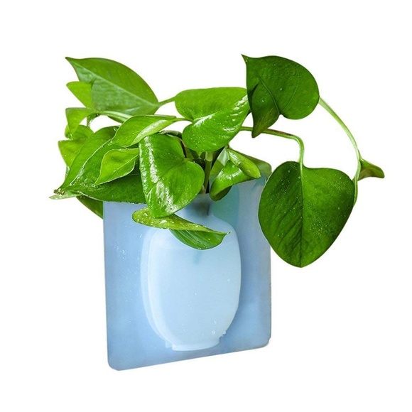 Magic Flower Vase Silicone, Reusable - Picture 2 of 7